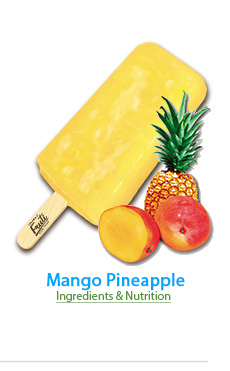 Fruti - Mango Pineapple frozen fruit bar